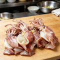 Fresh Whole Raw Squid Seafood